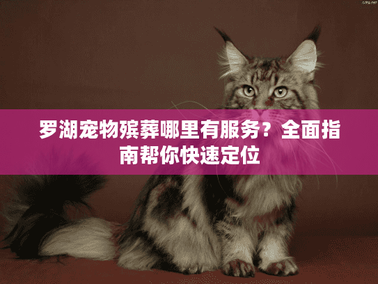 罗湖宠物殡葬哪里有服务？全面指南帮你快速定位