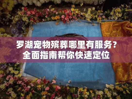 罗湖宠物殡葬哪里有服务？全面指南帮你快速定位