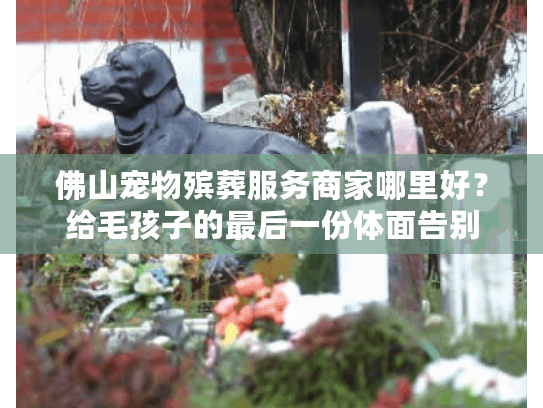 佛山宠物殡葬服务商家哪里好？给毛孩子的最后一份体面告别