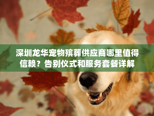深圳龙华宠物殡葬供应商哪里值得信赖？告别仪式和服务套餐详解