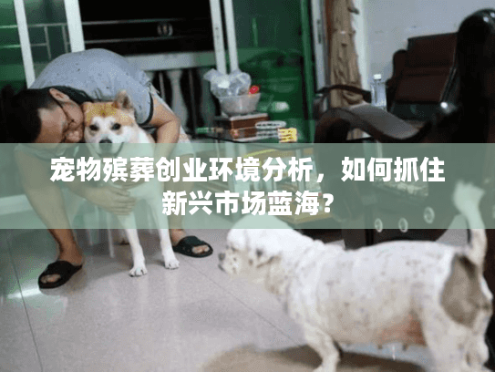 宠物殡葬创业环境分析，如何抓住新兴市场蓝海？