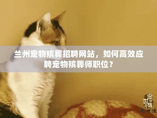 兰州宠物殡葬招聘网站，如何高效应聘宠物殡葬师职位？
