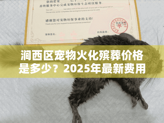 涧西区宠物火化殡葬价格是多少？2025年最新费用详解