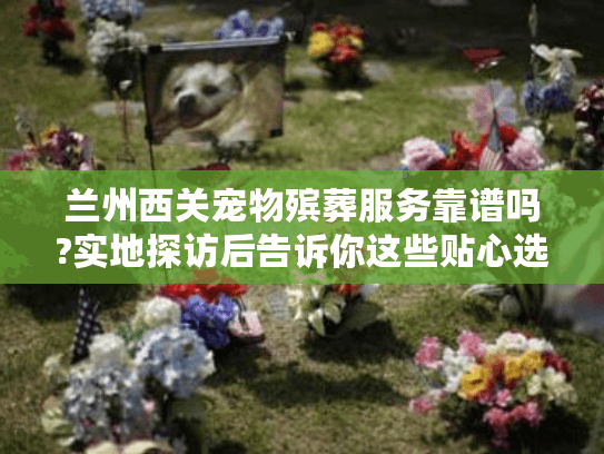 兰州西关宠物殡葬服务靠谱吗?实地探访后告诉你这些贴心选择