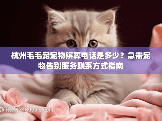 杭州毛毛宠宠物殡葬电话是多少？急需宠物告别服务联系方式指南