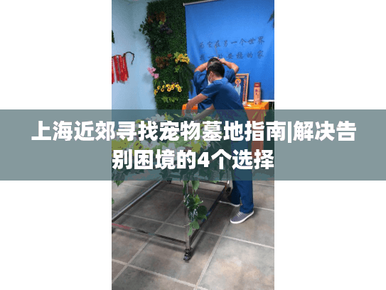 上海近郊寻找宠物墓地指南|解决告别困境的4个选择