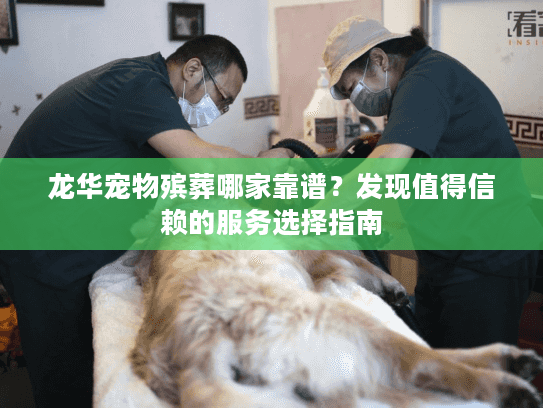 龙华宠物殡葬哪家靠谱？发现值得信赖的服务选择指南