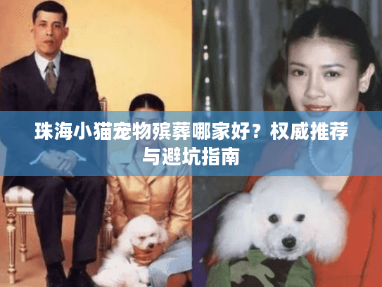 珠海小猫宠物殡葬哪家好？权威推荐与避坑指南