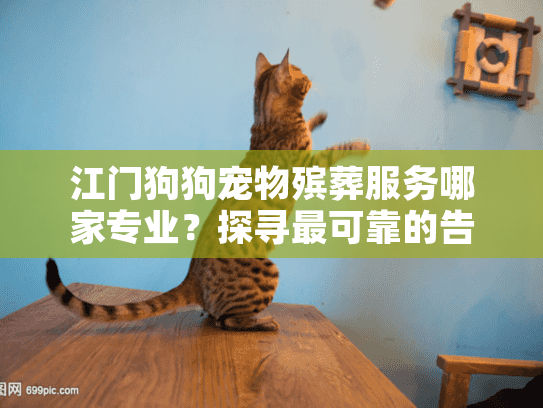 江门狗狗宠物殡葬服务哪家专业？探寻最可靠的告别选择