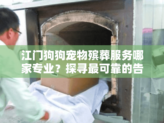 江门狗狗宠物殡葬服务哪家专业？探寻最可靠的告别选择