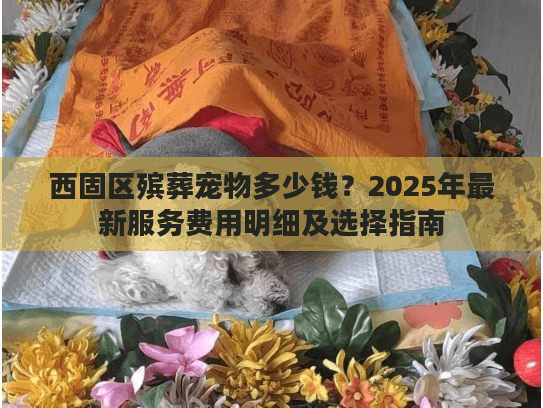 西固区殡葬宠物多少钱？2025年最新服务费用明细及选择指南
