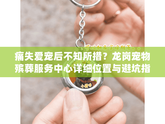 痛失爱宠后不知所措？龙岗宠物殡葬服务中心详细位置与避坑指南