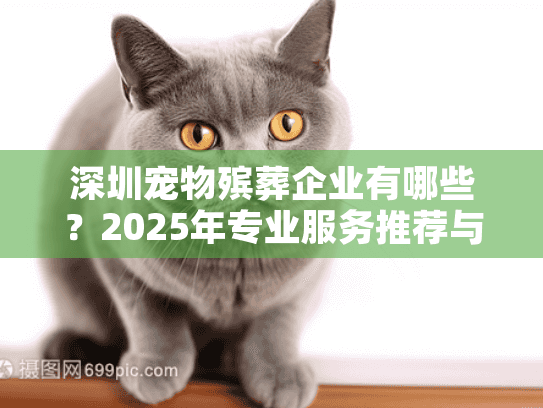深圳宠物殡葬企业有哪些？2025年专业服务推荐与比较