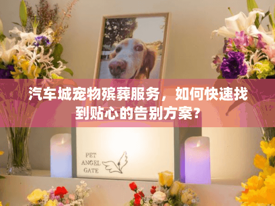 汽车城宠物殡葬服务，如何快速找到贴心的告别方案？