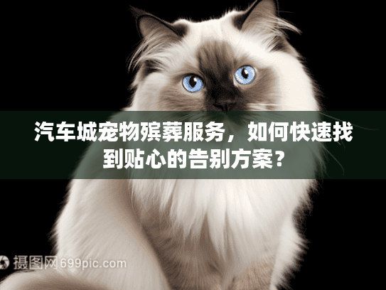 汽车城宠物殡葬服务，如何快速找到贴心的告别方案？