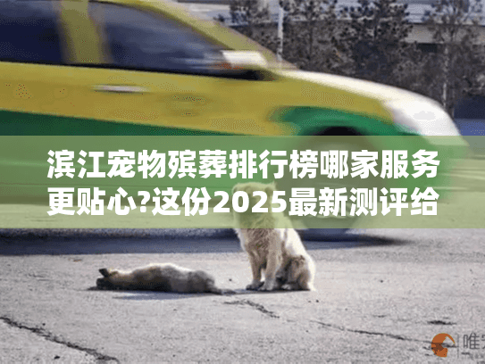 滨江宠物殡葬排行榜哪家服务更贴心?这份2025最新测评给你答案