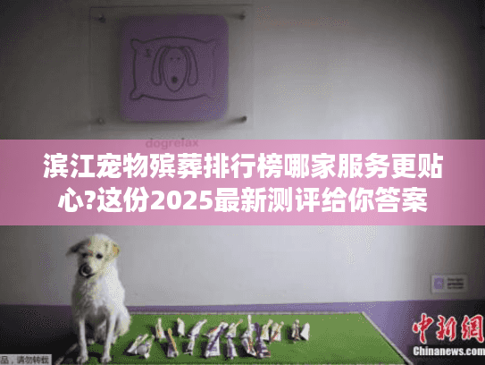 滨江宠物殡葬排行榜哪家服务更贴心?这份2025最新测评给你答案