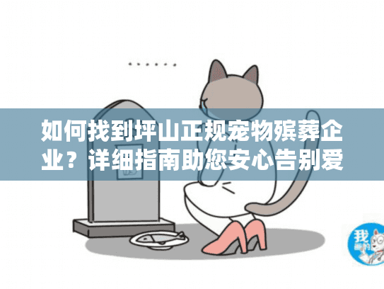 如何找到坪山正规宠物殡葬企业？详细指南助您安心告别爱宠