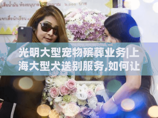 光明大型宠物殡葬业务|上海大型犬送别服务,如何让爱宠体面告别?