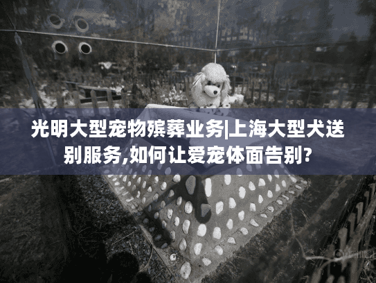 光明大型宠物殡葬业务|上海大型犬送别服务,如何让爱宠体面告别?
