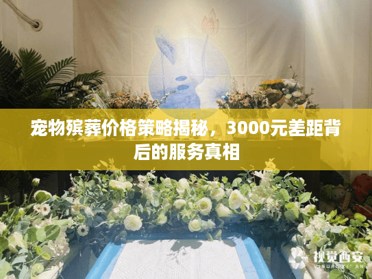 宠物殡葬价格策略揭秘，3000元差距背后的服务真相