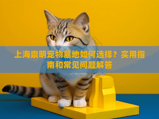 上海崇明宠物墓地如何选择？实用指南和常见问题解答