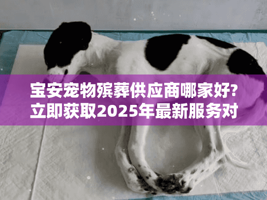 宝安宠物殡葬供应商哪家好?立即获取2025年最新服务对比清单