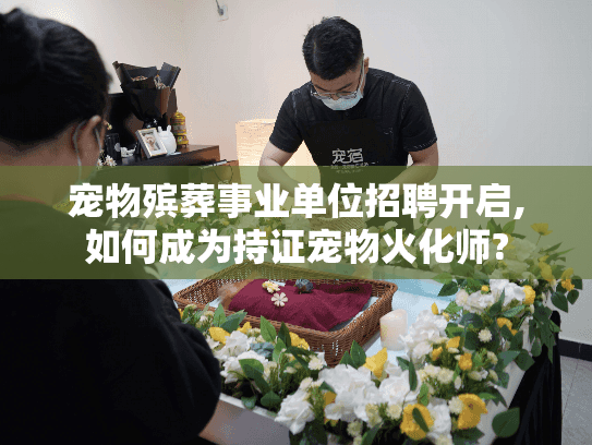宠物殡葬事业单位招聘开启,如何成为持证宠物火化师?