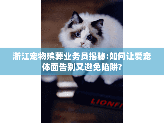 浙江宠物殡葬业务员揭秘:如何让爱宠体面告别又避免陷阱?