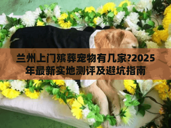 兰州上门殡葬宠物有几家?2025年最新实地测评及避坑指南 兰州上门殡葬宠物有几家?2025年最新实地测评及避坑指南