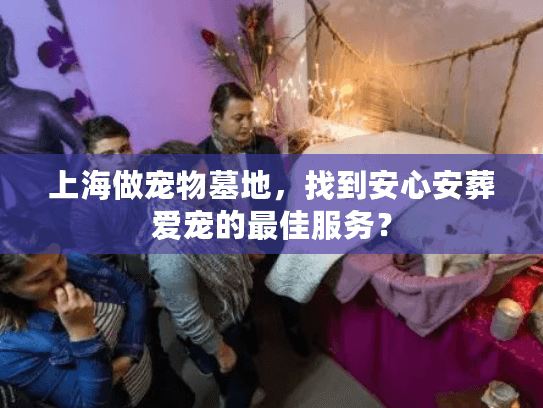 上海做宠物墓地，找到安心安葬爱宠的最佳服务？