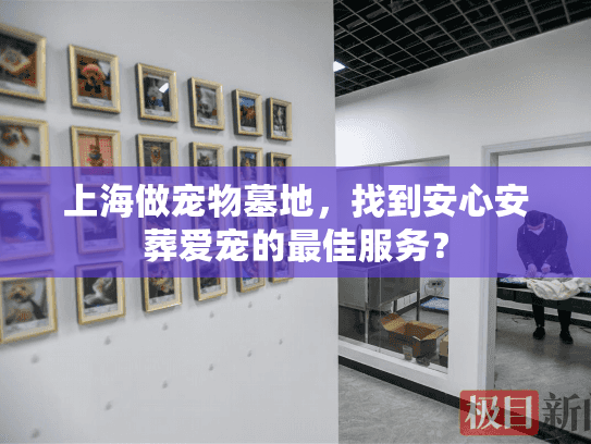 上海做宠物墓地，找到安心安葬爱宠的最佳服务？
