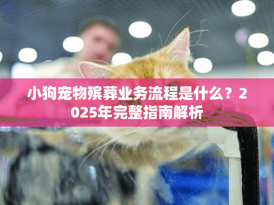 小狗宠物殡葬业务流程是什么？2025年完整指南解析