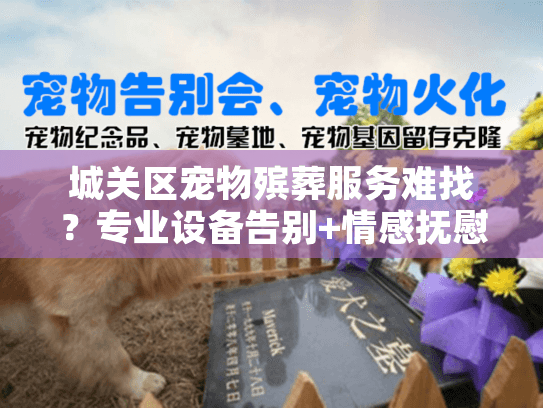 城关区宠物殡葬服务难找？专业设备告别+情感抚慰全方案