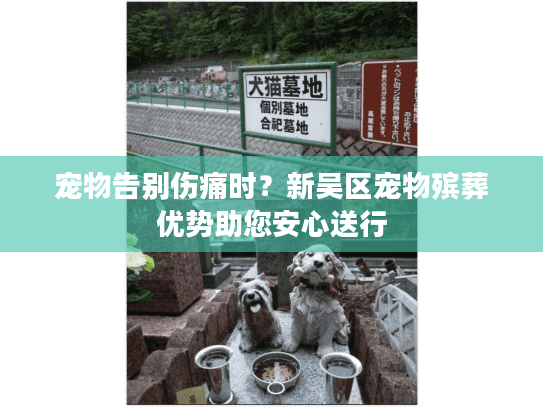 宠物告别伤痛时？新吴区宠物殡葬优势助您安心送行