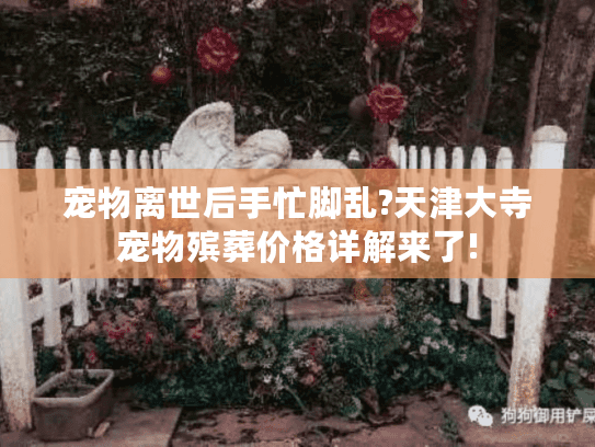 宠物离世后手忙脚乱?天津大寺宠物殡葬价格详解来了!