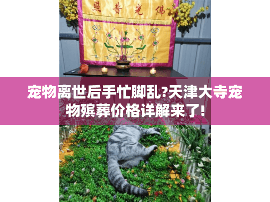 宠物离世后手忙脚乱?天津大寺宠物殡葬价格详解来了!