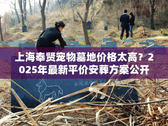 上海奉贤宠物墓地价格太高？2025年最新平价安葬方案公开