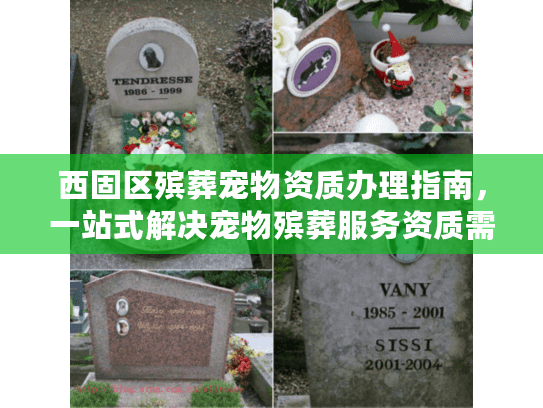 西固区殡葬宠物资质办理指南，一站式解决宠物殡葬服务资质需求