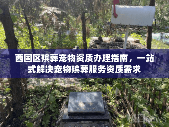 西固区殡葬宠物资质办理指南，一站式解决宠物殡葬服务资质需求
