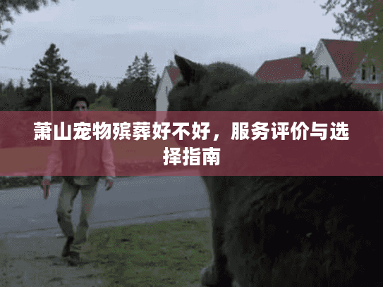 萧山宠物殡葬好不好，服务评价与选择指南