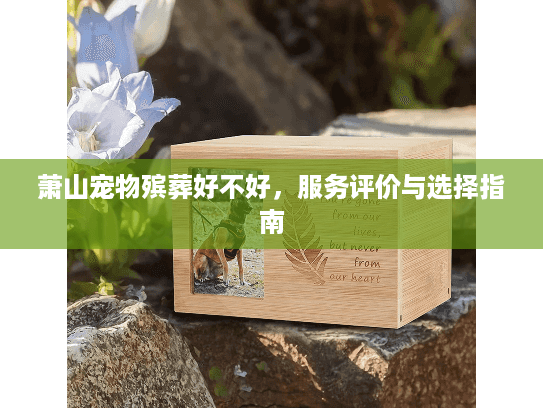 萧山宠物殡葬好不好，服务评价与选择指南