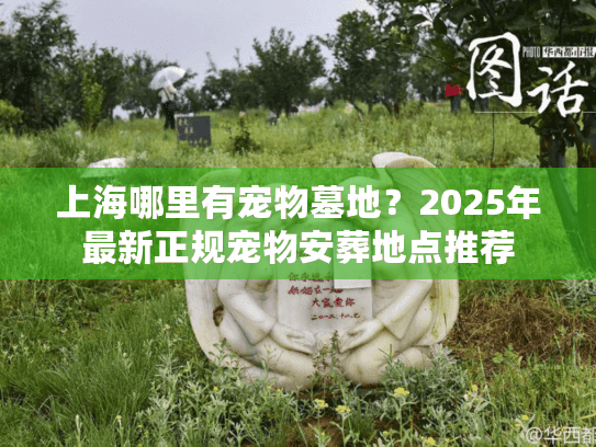 上海哪里有宠物墓地？2025年最新正规宠物安葬地点推荐
