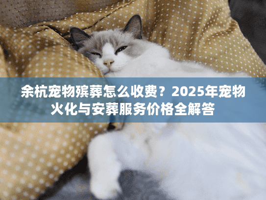 余杭宠物殡葬怎么收费？2025年宠物火化与安葬服务价格全解答