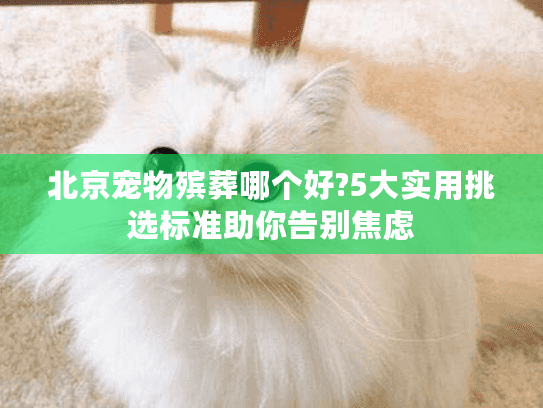 北京宠物殡葬哪个好?5大实用挑选标准助你告别焦虑