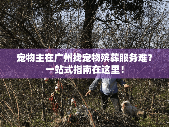 宠物主在广州找宠物殡葬服务难？一站式指南在这里！