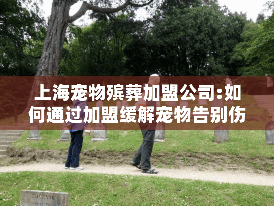 上海宠物殡葬加盟公司:如何通过加盟缓解宠物告别伤痛?