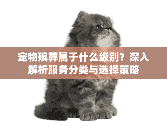 宠物殡葬属于什么级别？深入解析服务分类与选择策略