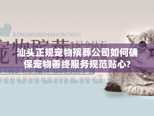 汕头正规宠物殡葬公司如何确保宠物善终服务规范贴心?