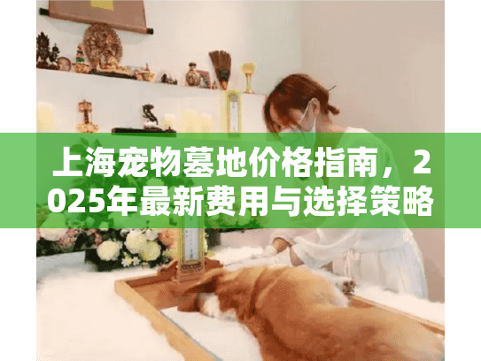 上海宠物墓地价格指南，2025年最新费用与选择策略